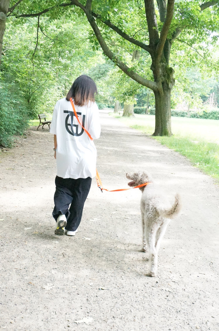 Sommer Kollektion 2024